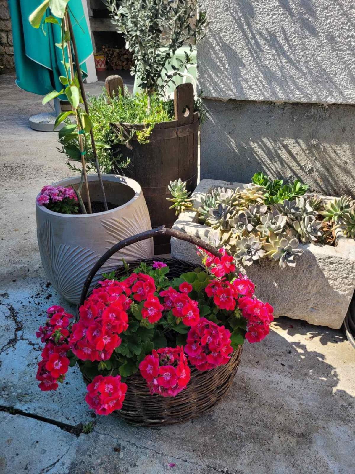 Malin Guesthouse Skradin Dış mekan fotoğraf